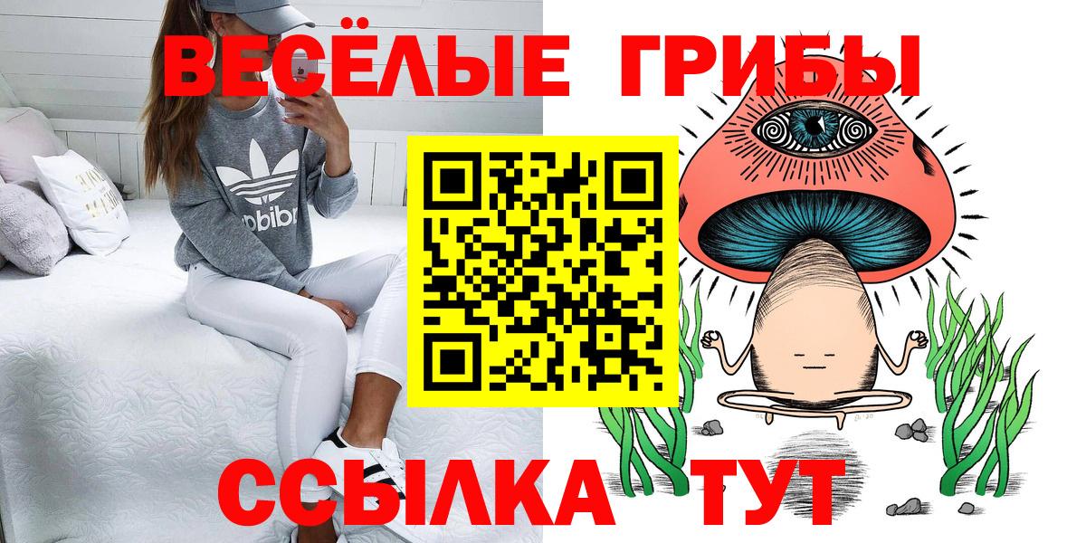 Галлюциногенные грибы мухоморы Новозыбков