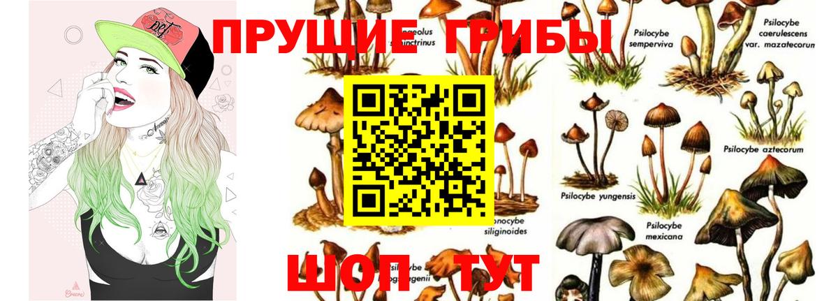 Вейп ТГК  MDMA  Вход с VPN  Гашиш  Экстази  Бошки Шишки  Метамфетамин  Новозыбков  МЕФ кристаллы 