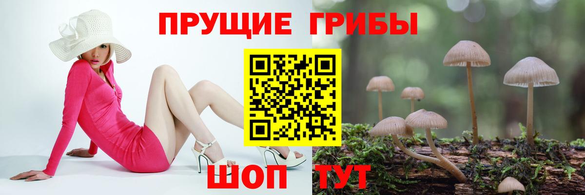 Псилоцибиновые грибы Cubensis  Вход с VPN  Галлюциногенные грибы Magic Shrooms  Новозыбков 